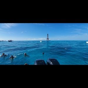 Meet your Posher, Beata